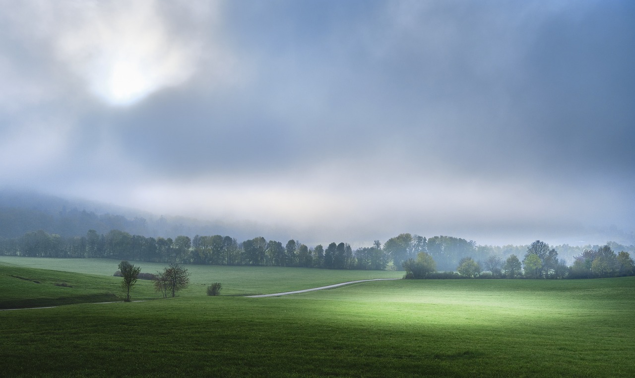 Deciphering the Non-Material Nature of Consciousness